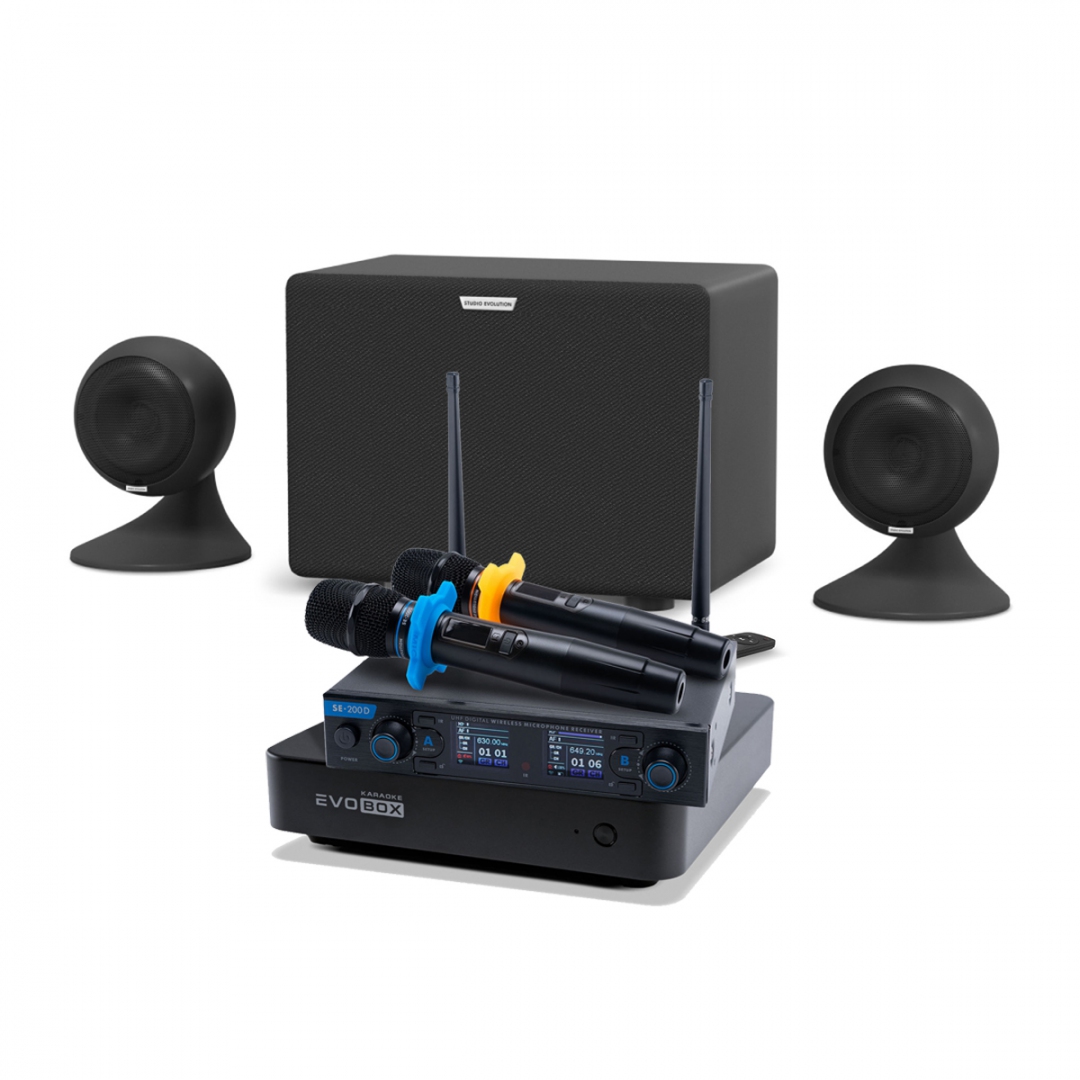 караоке-комплект EVOBOX + EvoSound Sphere 2.1 в Череповце