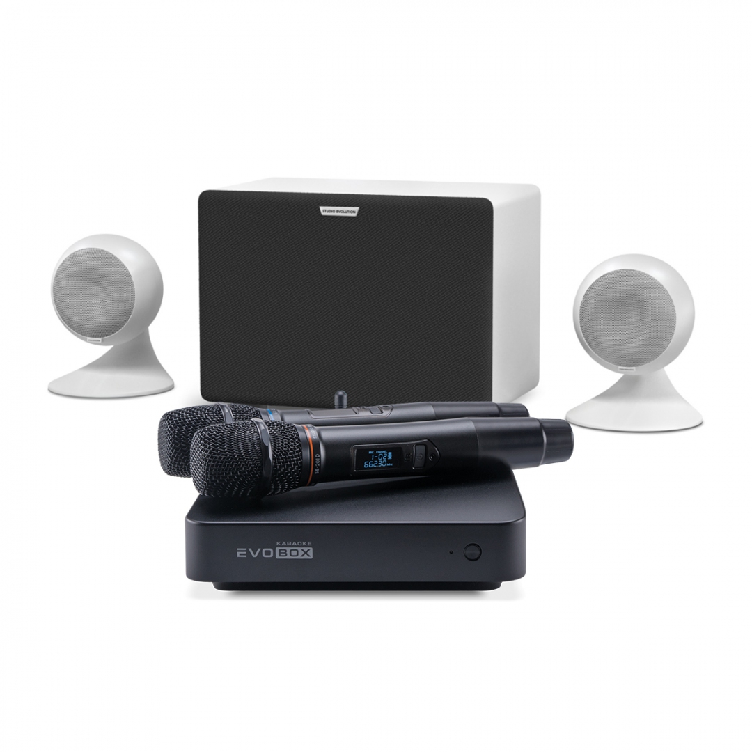 караоке-комплект EVOBOX Classic + EvoSound Sphere 2.1 в Череповце