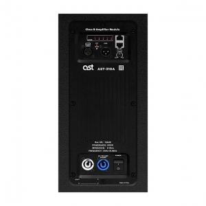 Активная акустическая система AST-310A в Череповце