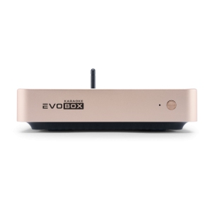 EVOBOX Classic караоке-система для дома в Череповце