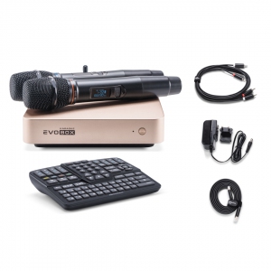 EVOBOX Plus караоке-система для дома в Череповце